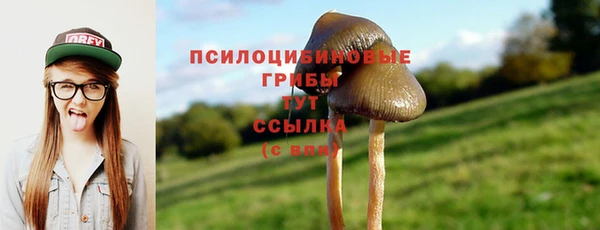 наркотики Алексин