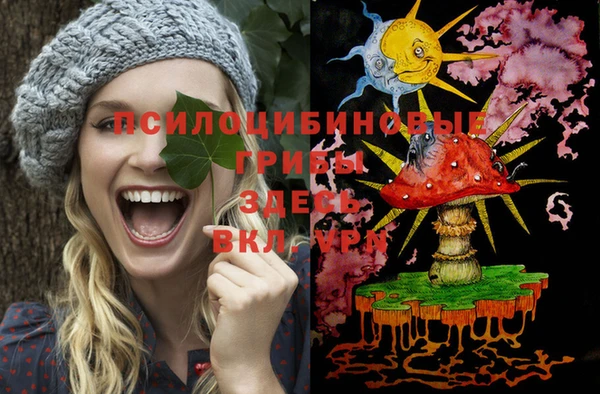 соль курить ск Алзамай