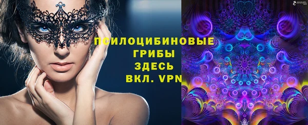 соль курить ск Алзамай