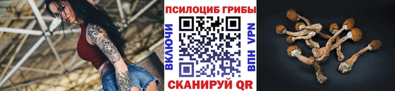 Галлюциногенные грибы ЛСД  сколько стоит  Жуков 